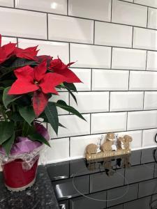 Fabulous Flat in Heart of London