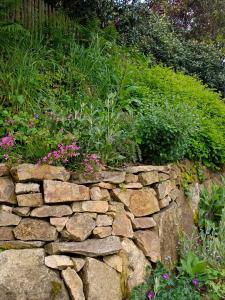 Appartements VANNES STUDIO RECENT AU CALME : photos des chambres