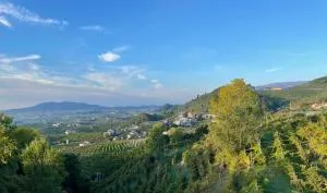 Silvia Miotto's Guesthouse - Case Regalfare