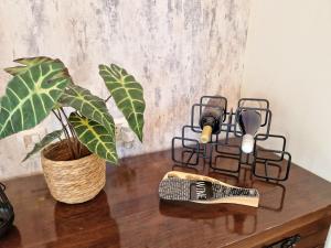 Cozy apartment in luxury SPA resort St Ivan Rilski Bansko -free wellness & parking-