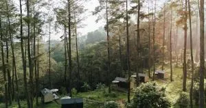Bobocabin Pacet, Mojokerto - Peterongan