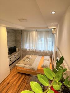 Welcome To Our Easygoing Apartment