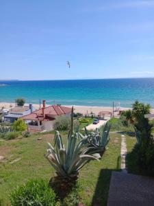 SEA PARADISE