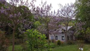 Chalets Petit Luchon : photos des chambres