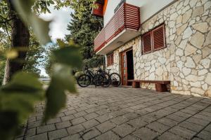 Cozy family place Hiša Grozdek - Gruškovec 40A