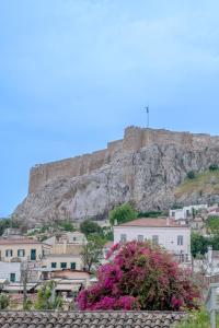 Plaka Apartments - Acropolis View