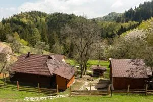 Budz Яворів - 帕利亚尼西亚