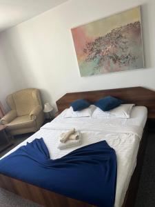 Pensiunea Dacia Deva