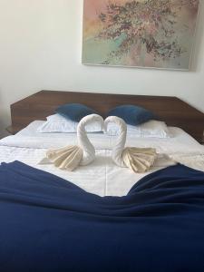 Pensiunea Dacia Deva