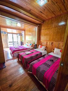 Banaue Rice Homestay