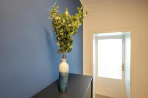 Pet-friendly modern apartment near Belvedere