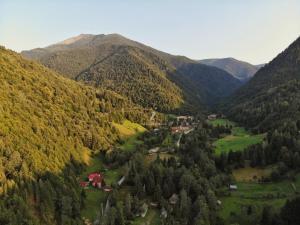 Casa Cerbului Moisei