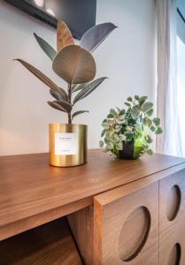Appartements Chateau de Dracy L Elegante : photos des chambres