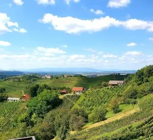 TRUTH WINES HOUSE - Sveti Marko