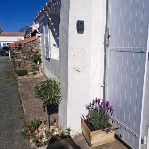 Maisons de vacances Maison de pecheur au calme : photos des chambres