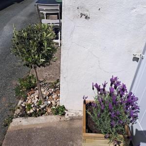 Maisons de vacances Maison de pecheur au calme : photos des chambres