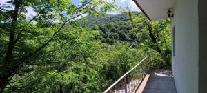 Rijeka Crnojevica Apartment Vujovic