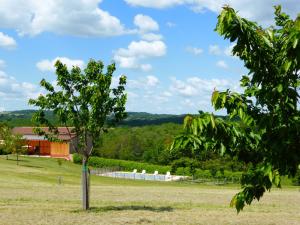 Maisons de vacances les gites de fred en Dordogne, Maisons avec piscines privees et chauffees : photos des chambres