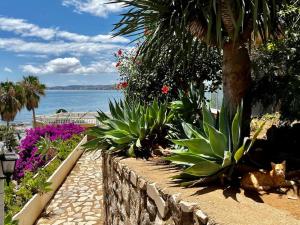 Apartment La Luna- First Line Beach