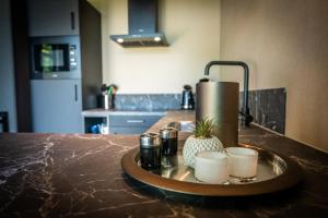 Wellnesslodge Merel
