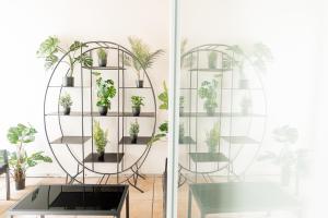 Luxuswohnung im Herzen Potsdams!