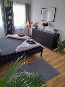 Penzion a restaurace Bílý Kůň