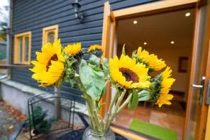 The Lawns - 埃尔特沃特