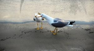 Appartements Evasion Soleil, Plage et Piscine : photos des chambres