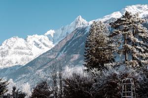 La Folie Douce Hotels Chamonix : photos des chambres
