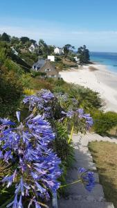 Maisons de vacances Maison bretonne renovee proche bourg et plages : photos des chambres