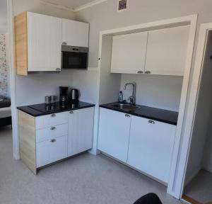 Skulebergets Frestelse