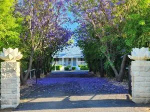 Jubri's Hideaway - Maclagan