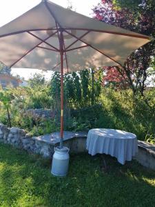 Neueröffnung, 2 wunderschöne Ferienwohnungen im Grünen