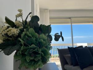 Studio panoramique & parking