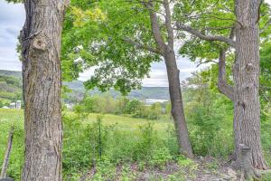 Family Home w Yard & Fire Pit in Middleburgh!