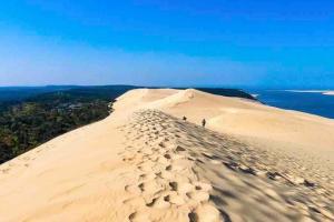 Appartements Cosy flat 2 steps from the port 4pers : photos des chambres