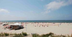 Appartements Cosy flat 2 steps from the port 4pers : photos des chambres