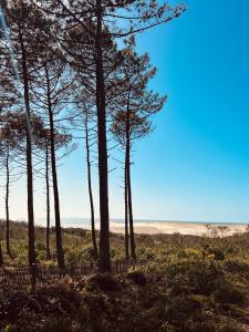 Bergerie sur Airial Landais