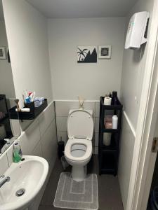 Entire Apartment in Dublin