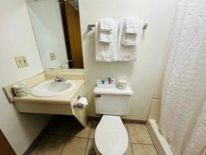 Deluxe Queen Room room in Quality Lodge - Cedar Point Area