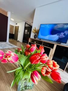 Apartament Judy