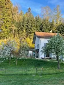 Maison Bardoz - Le Clerjus