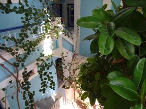 Hotel Mariona Samos Greece