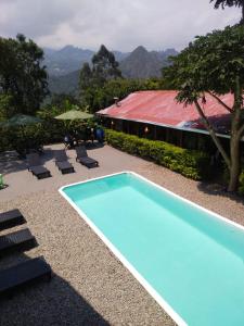 OASSIS CONEXION SIN FRONTERAS