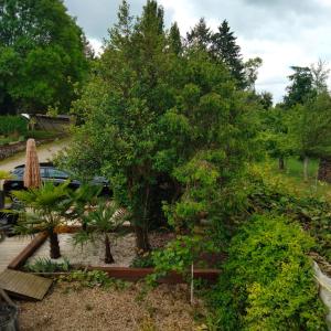 B&B / Chambres d'hotes le jack : photos des chambres