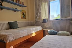 Galia Ballena (Rota) - Carlos