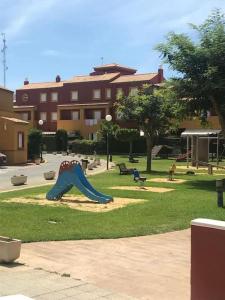 Galia Ballena (Rota) - Carlos