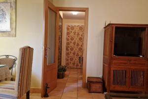 Galia Ballena (Rota) - Carlos