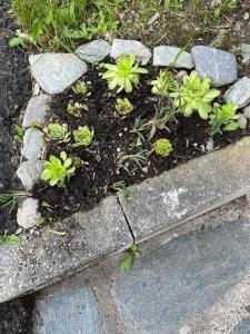 LA CASETTA DELLE NUVOLE