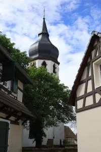 Le Clos de la Vieille Dame - Gries